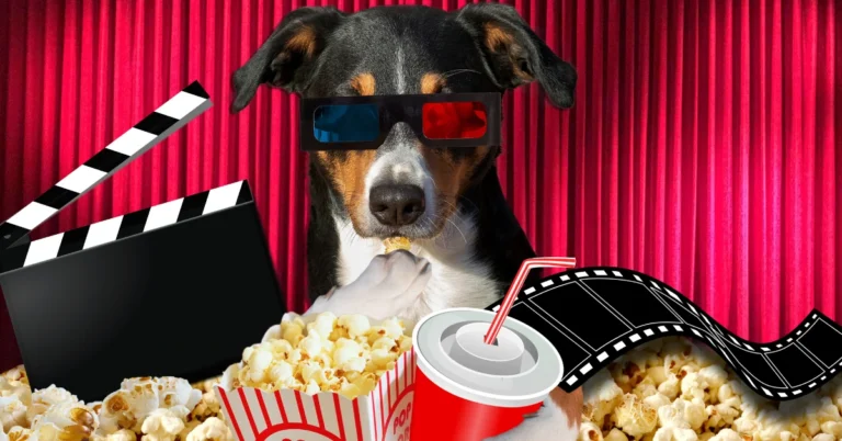 A dog eating popcorn in a cinema decor