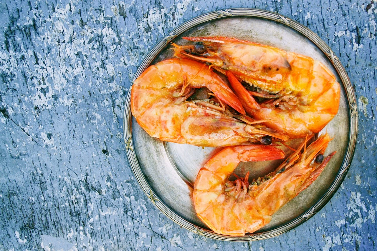 can dogs eat shrimp